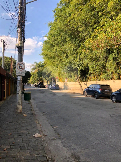 Foto REO626790
