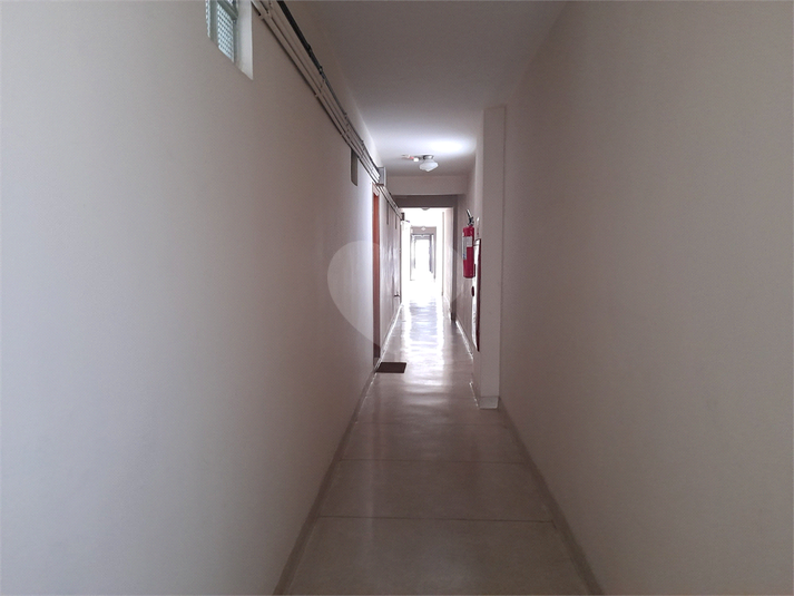 Foto REO626897