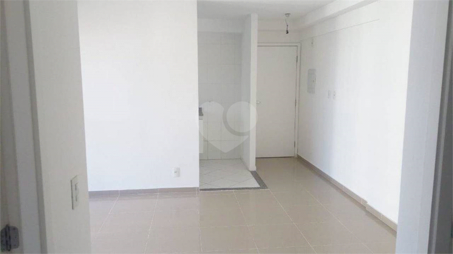 Foto REO626957