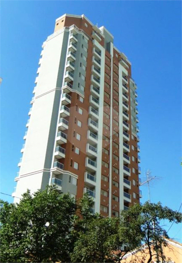 Foto REO626957