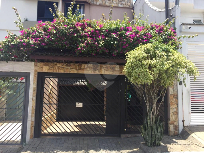 Foto REO627456