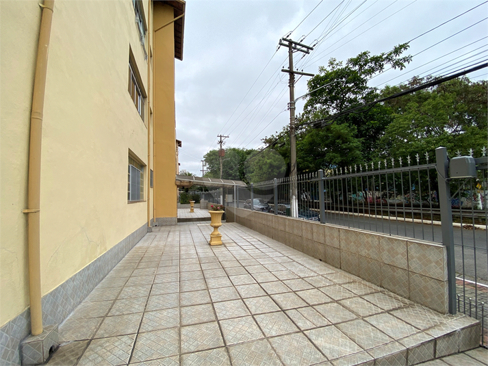 Foto REO627847