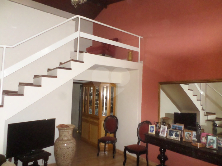 Foto REO627850