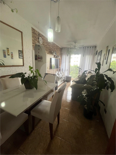 Foto REO627962