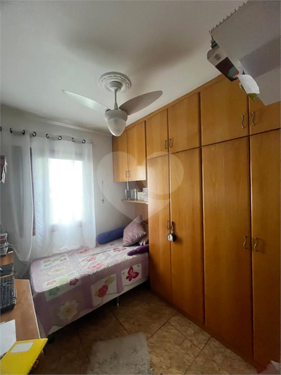 Foto REO627962