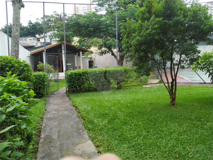 Foto REO627962