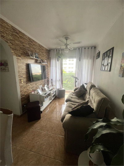 Foto REO627962