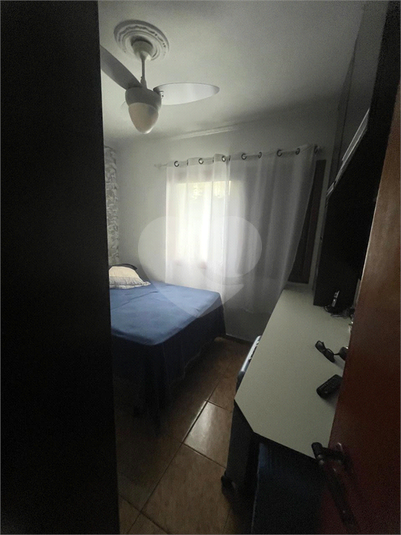 Foto REO627962
