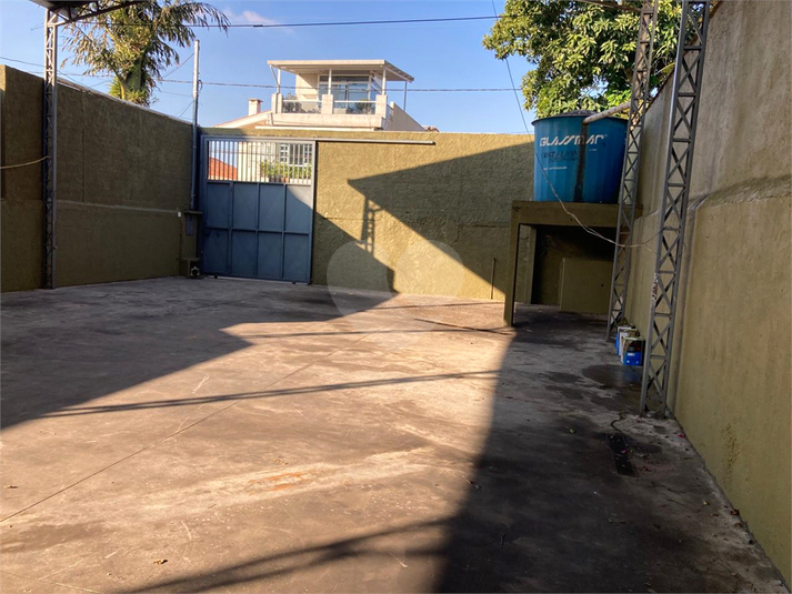 Foto REO628095