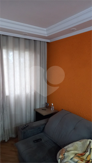 Foto REO628152