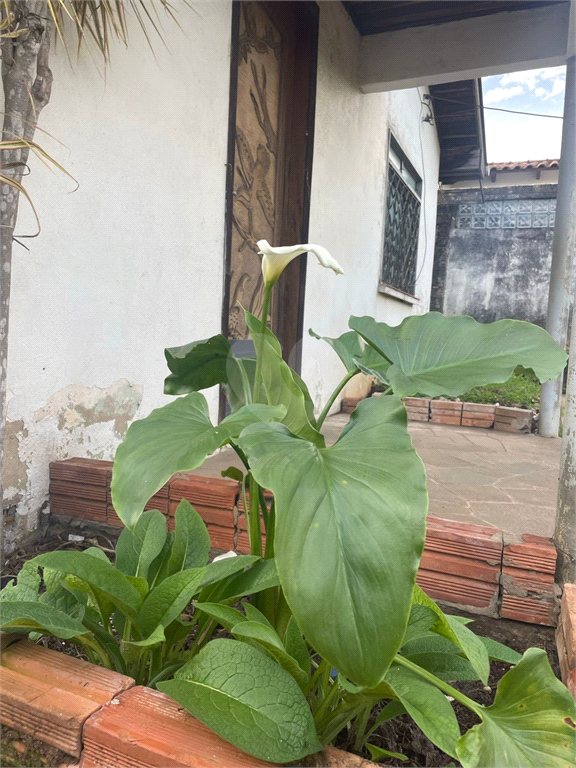 Venda Casa Cachoeirinha Ponta Porã REO628390 12