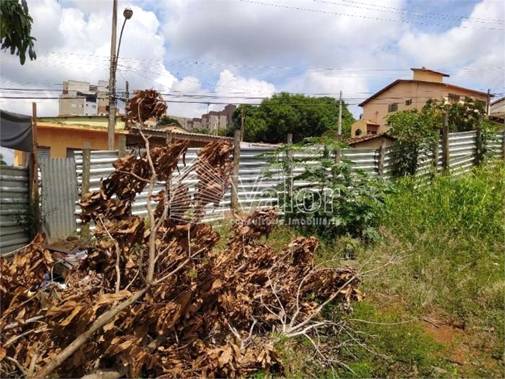 Venda Terreno São Carlos Centro REO628407 4