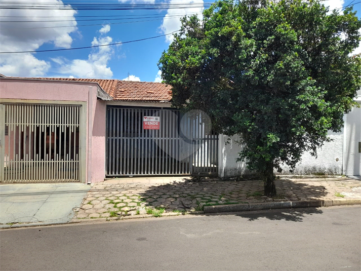 Foto REO628503