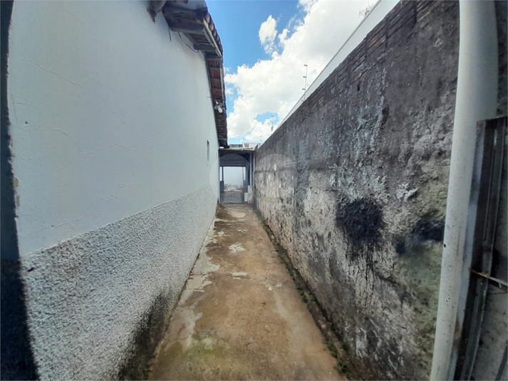 Foto REO628503