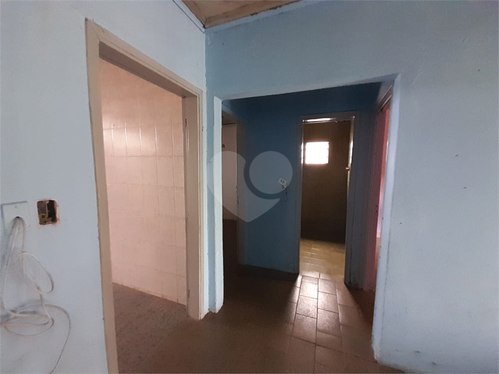 Foto REO628503