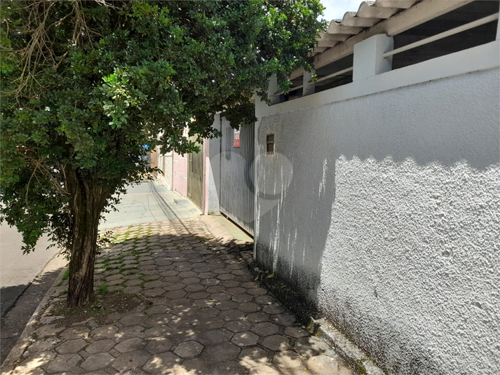 Foto REO628503