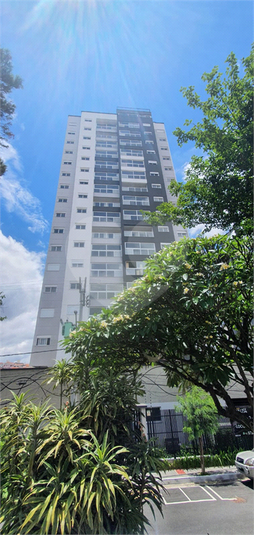 Aluguel Apartamento São Paulo Jardim Paraíso REO628561 35