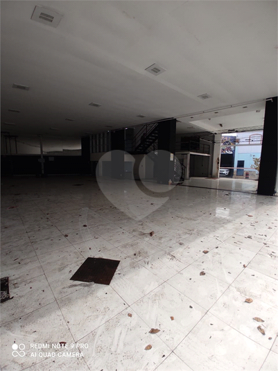 Foto REO629186