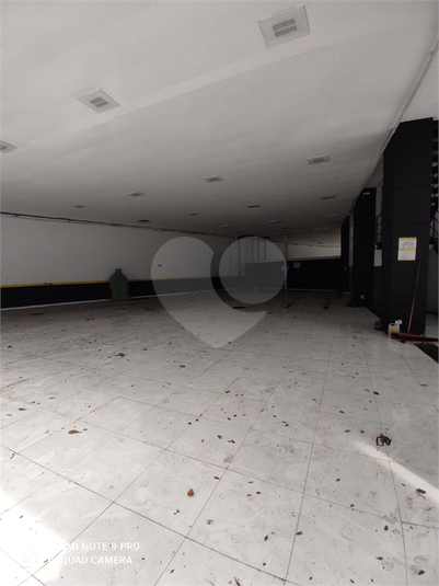 Foto REO629186