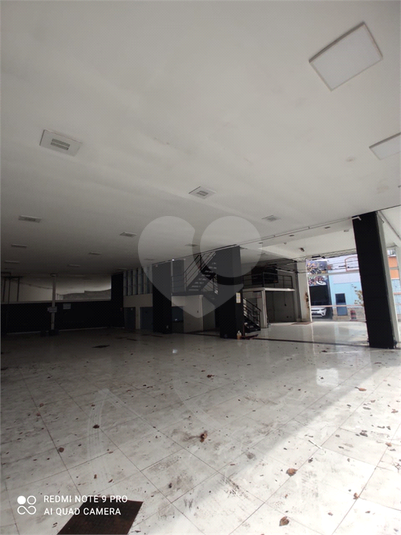 Foto REO629186