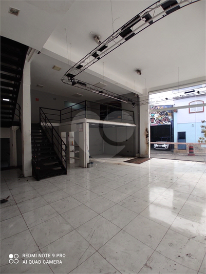 Foto REO629186