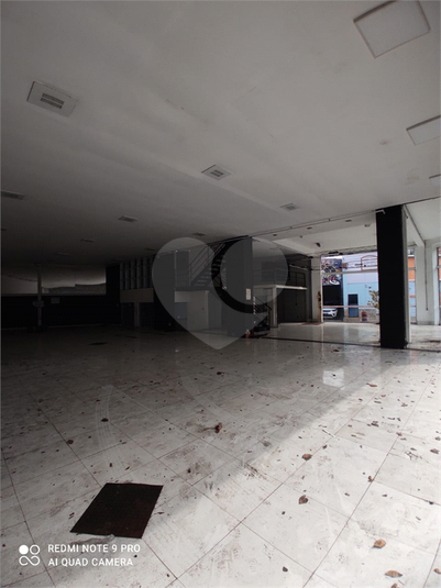 Foto REO629186