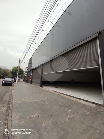 Foto REO629186
