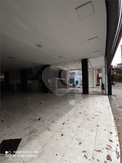 Foto REO629186