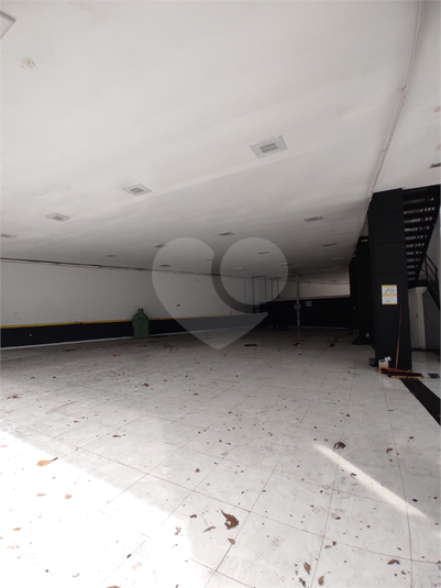 Foto REO629186