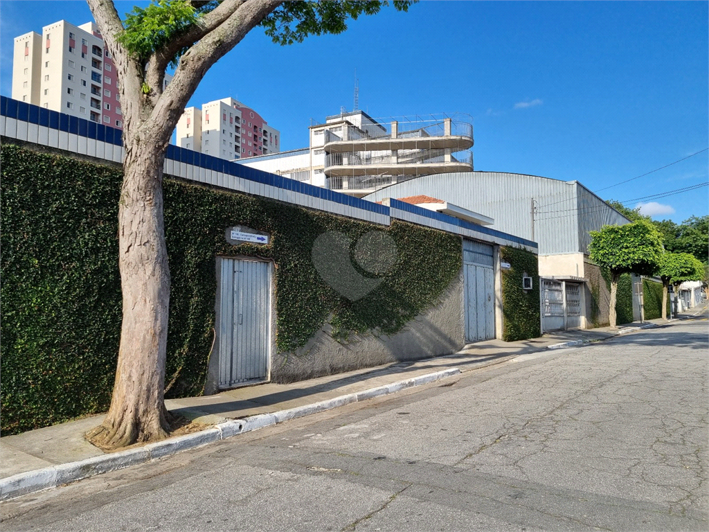 Venda Terreno São Paulo Vila Isa REO629574 13