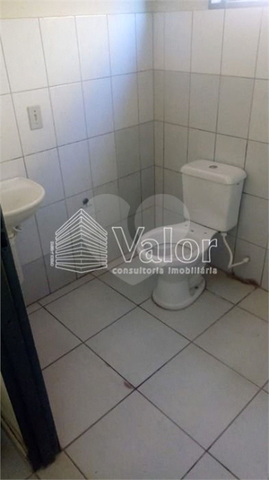 Foto REO629726