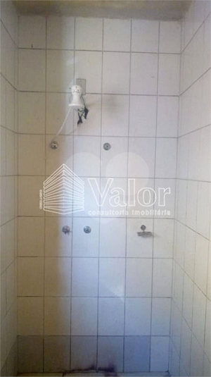 Foto REO629726