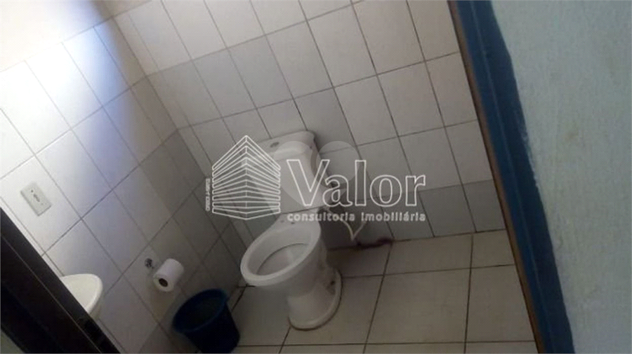 Foto REO629726