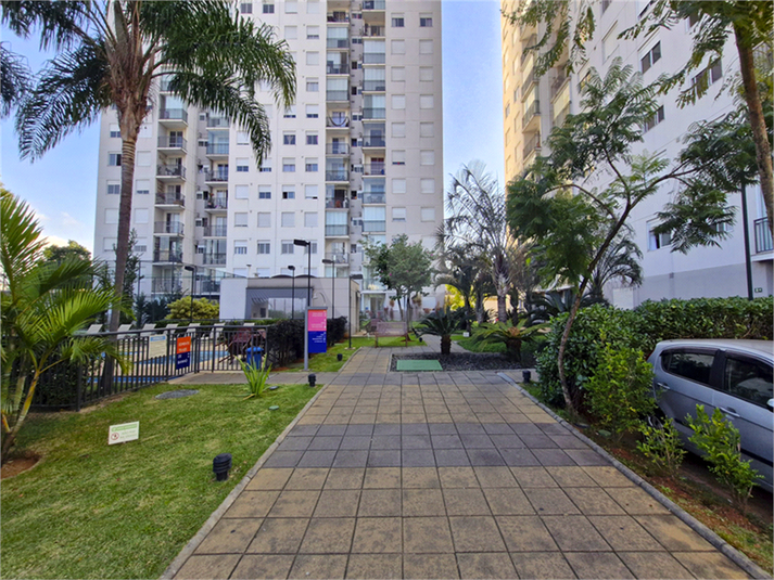 Foto REO630076