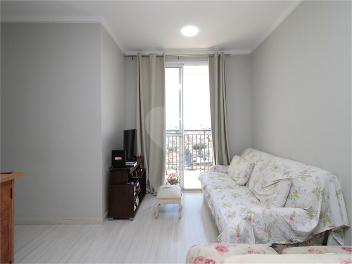 Foto REO630076