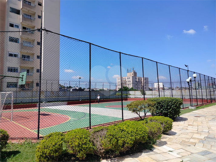 Foto REO630479