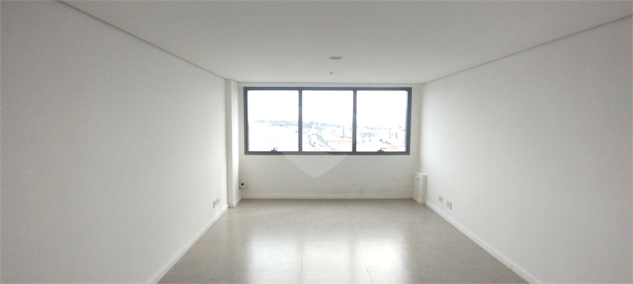 Foto REO630486