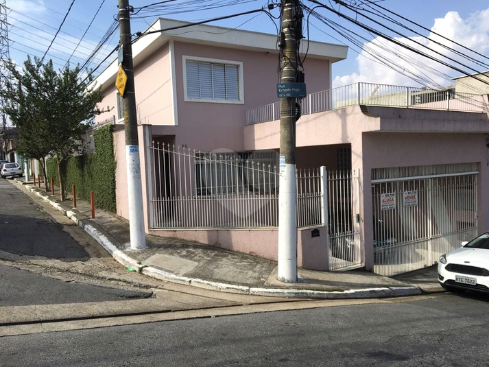 Foto REO630522