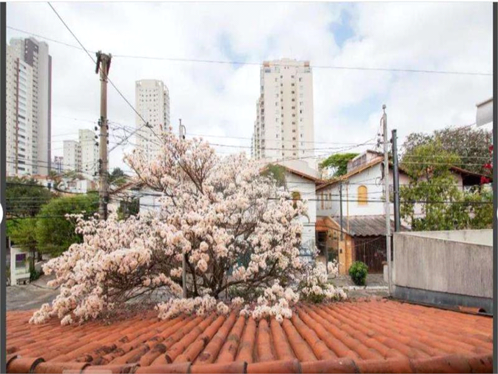 Foto REO631370