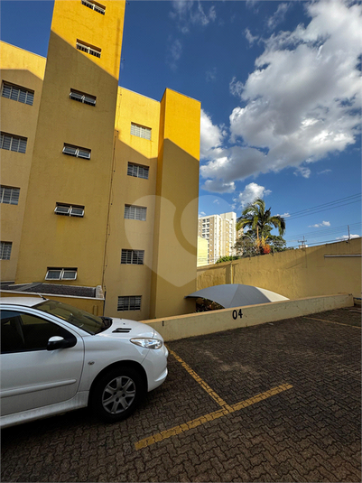 Foto REO631459