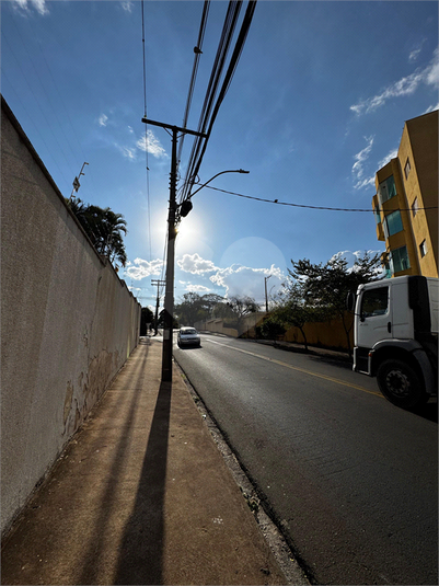Foto REO631459