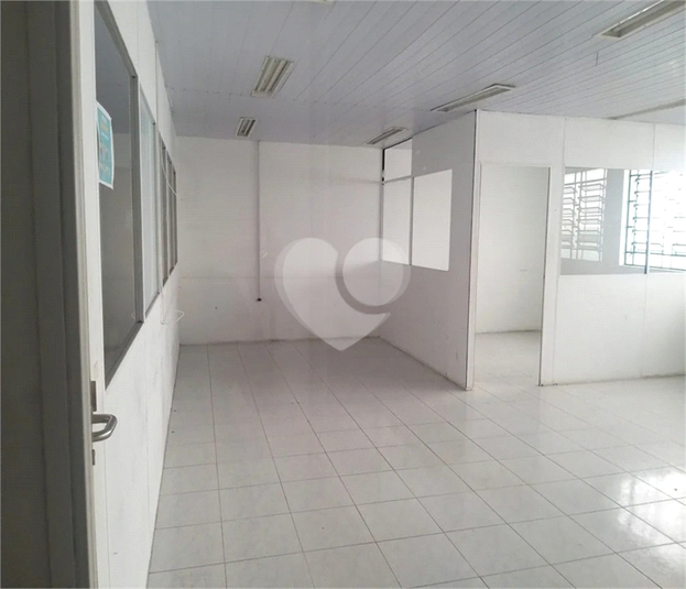 Foto REO631693