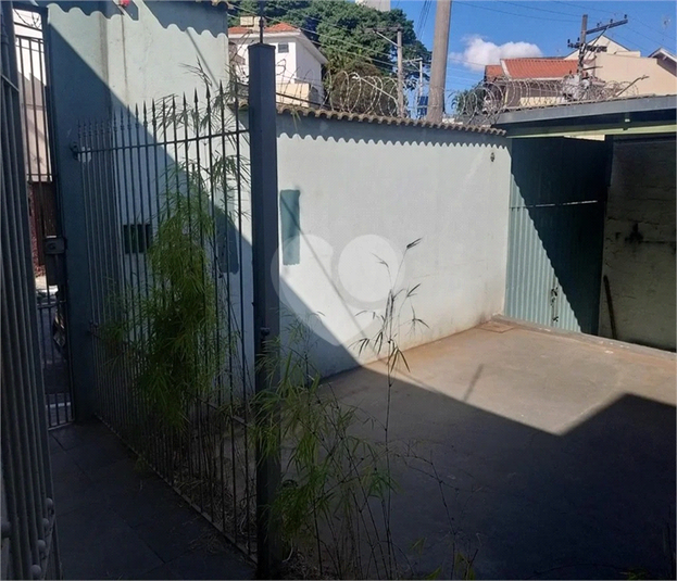 Foto REO631693