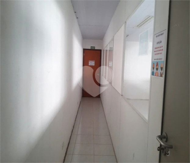 Foto REO631693