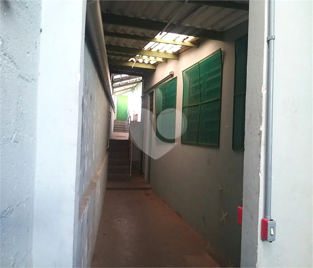 Foto REO631693