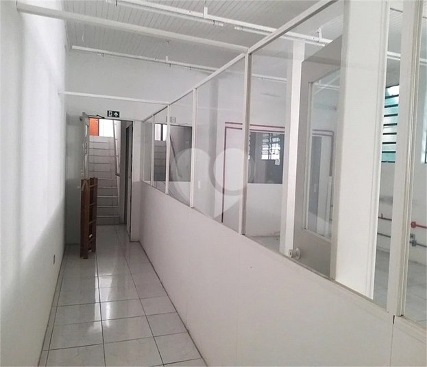 Foto REO631693