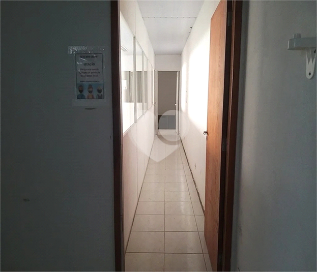 Foto REO631693