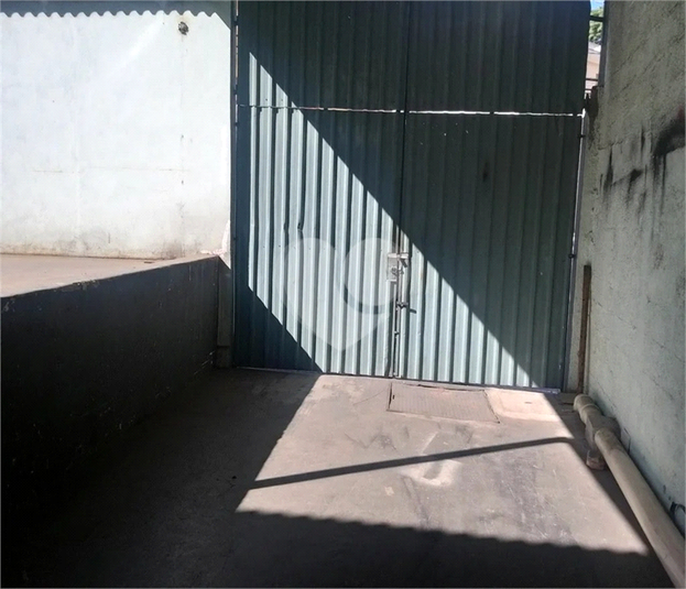 Foto REO631693