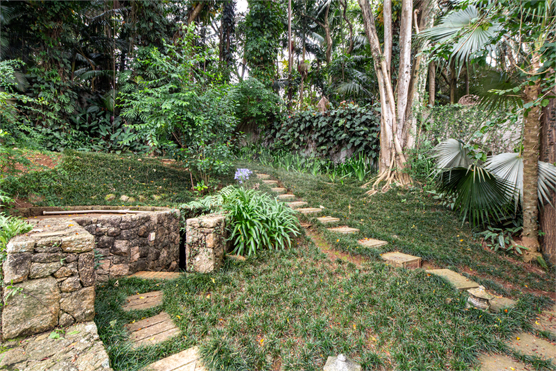 Foto REO631695