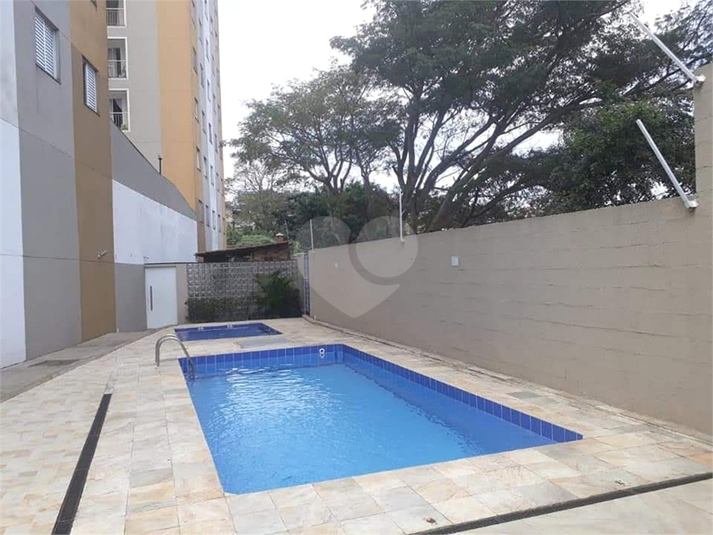Foto REO631745